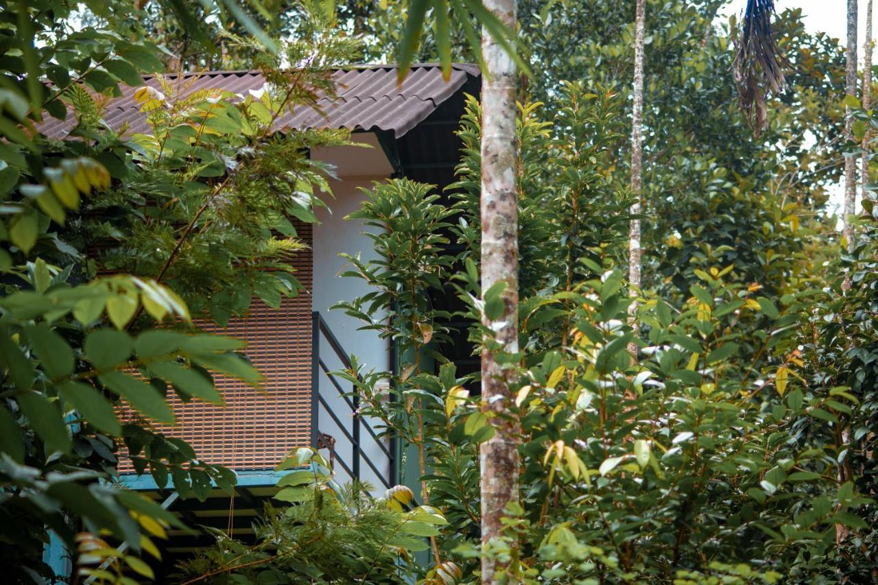 Edens Munnar Hotel Buitenkant foto