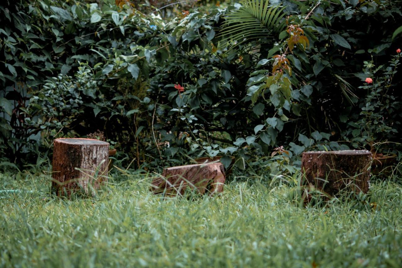 Edens Munnar Hotel Buitenkant foto