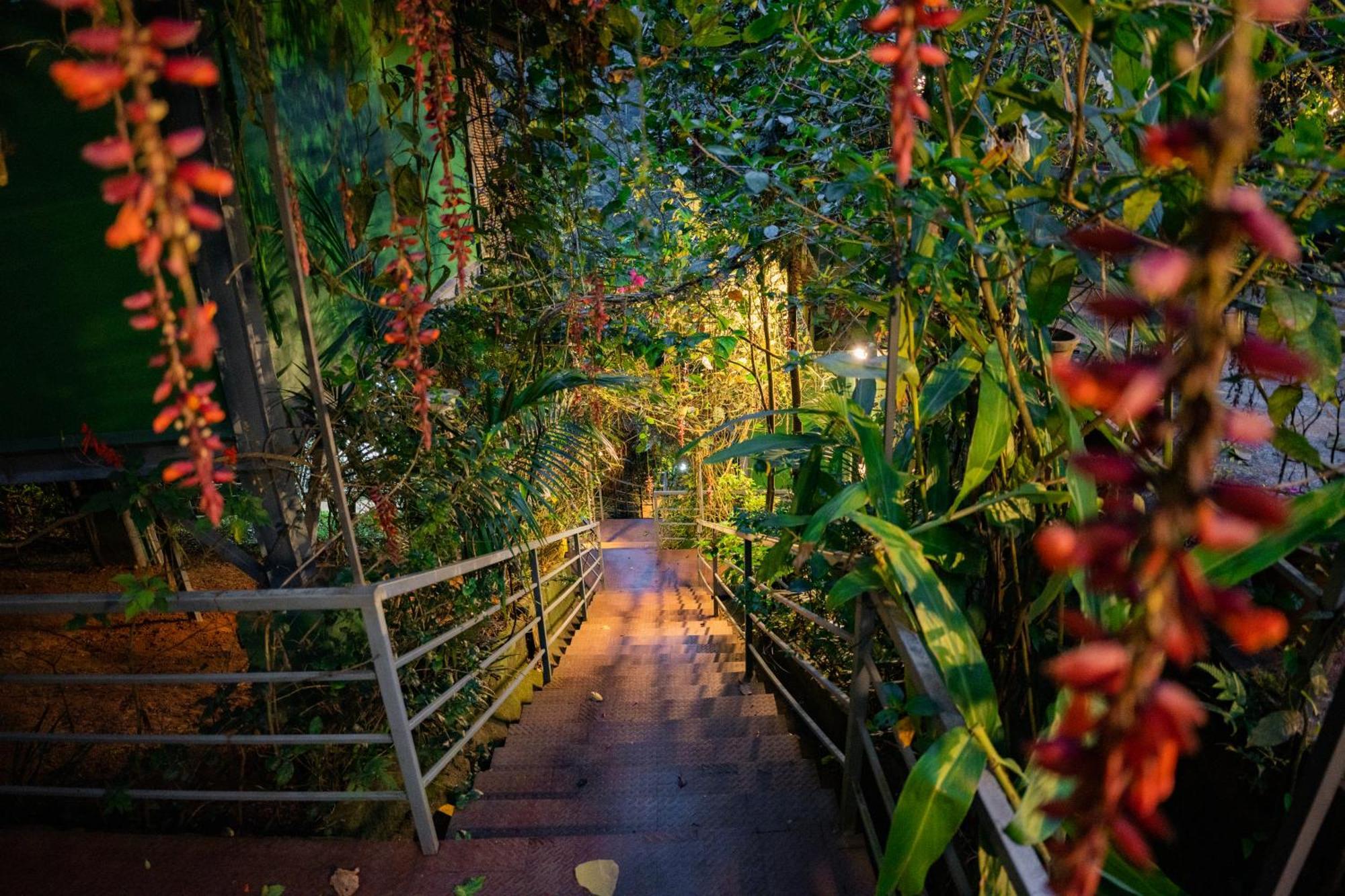 Edens Munnar Hotel Buitenkant foto