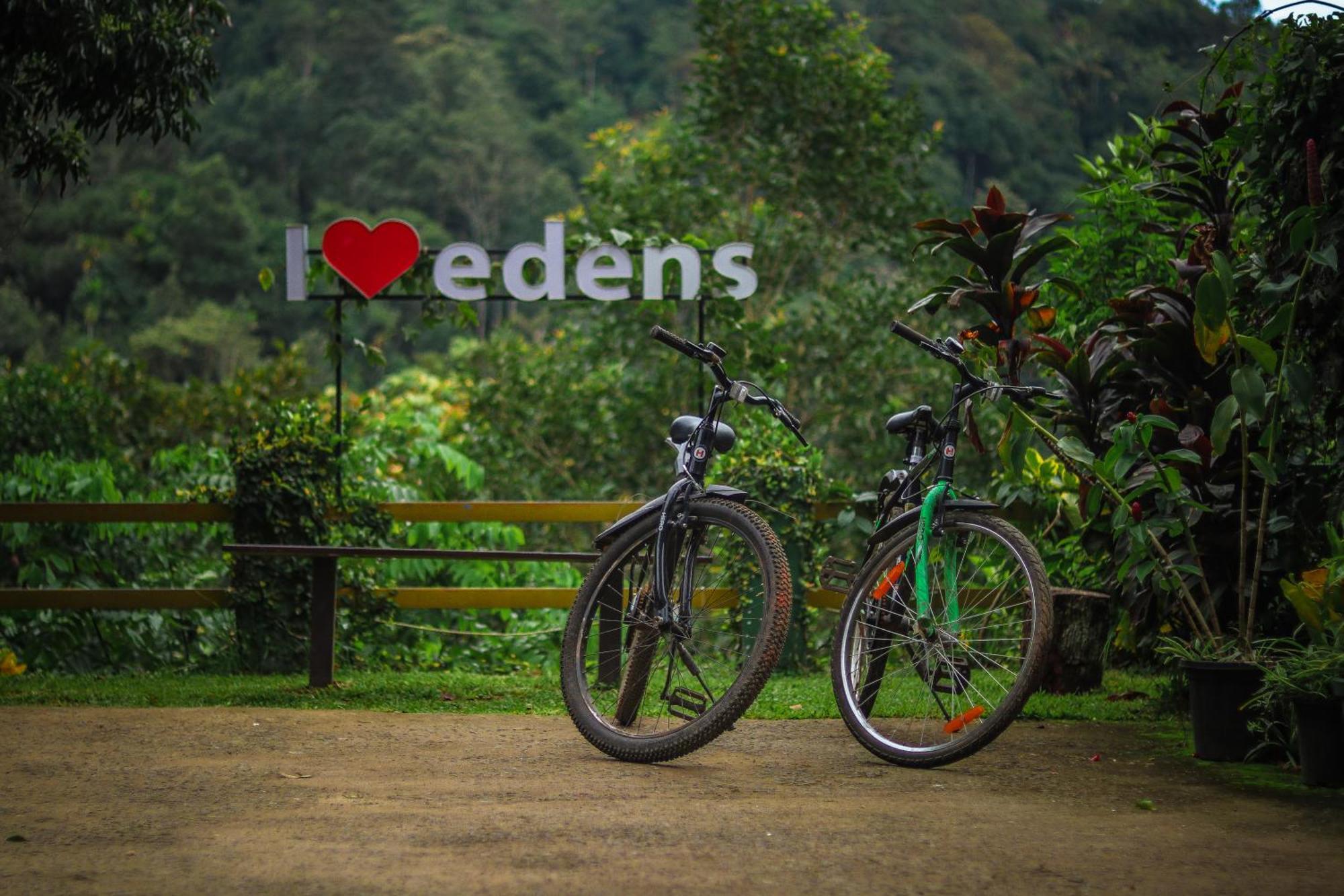 Edens Munnar Hotel Buitenkant foto