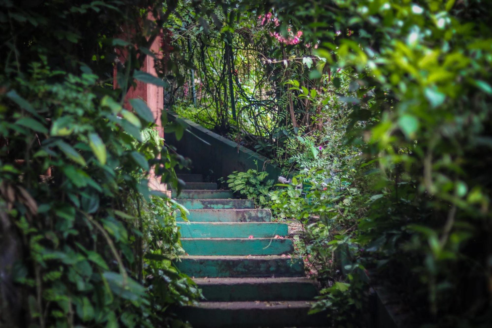 Edens Munnar Hotel Buitenkant foto