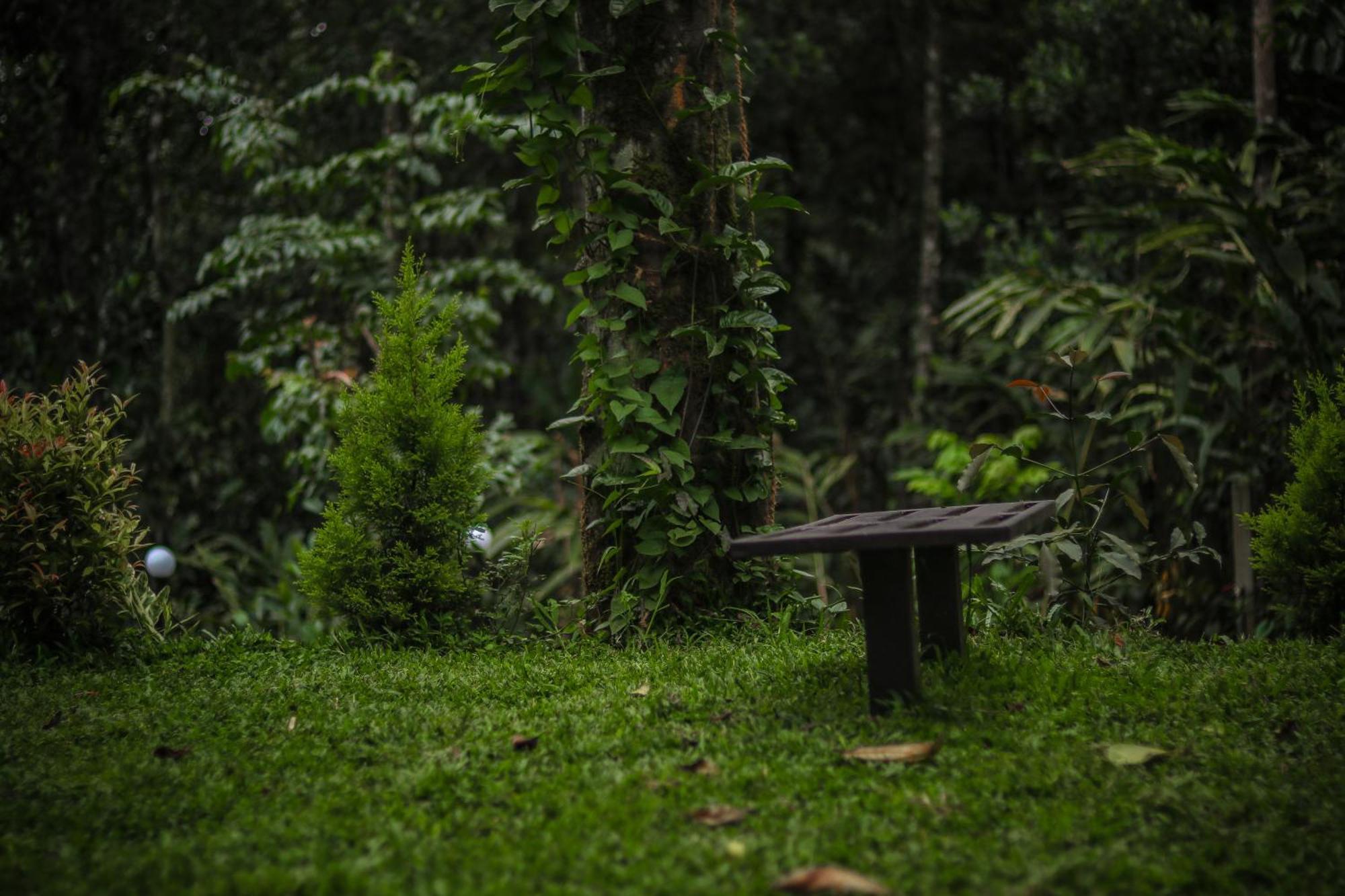 Edens Munnar Hotel Buitenkant foto